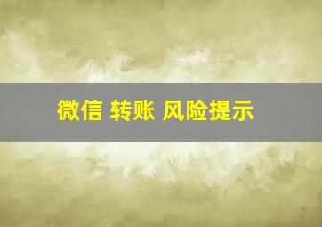 微信 转账 风险提示